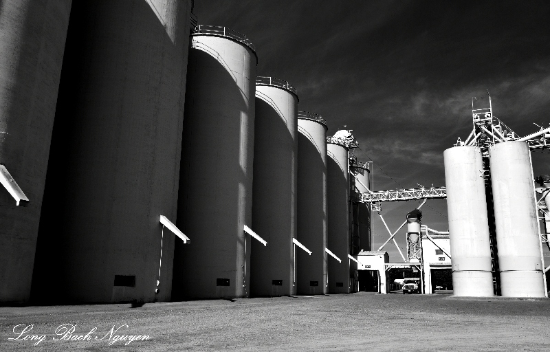 Strain Farming Company Arbuckle California 027 