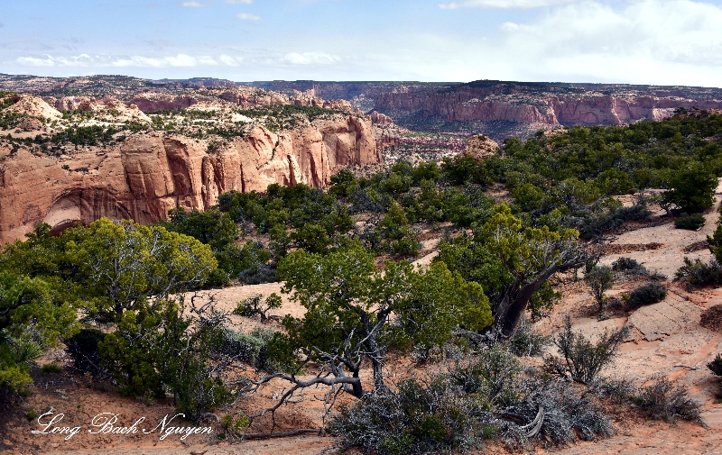 Betatatkin Canyon Tsegi Canyon Navajo National Monument Navajo Nation Arizona 327  