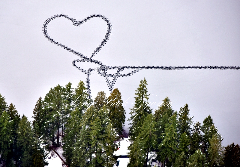 Heart in frozen Pine Lake Washington 530  