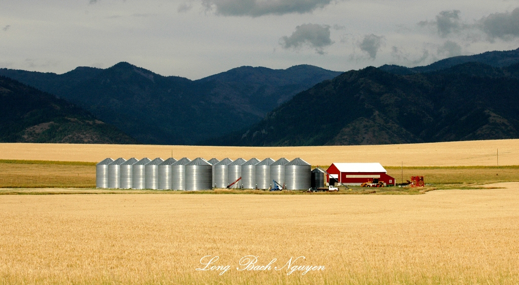 Red Barn and Silos, Idaho Falls, Idaho 045