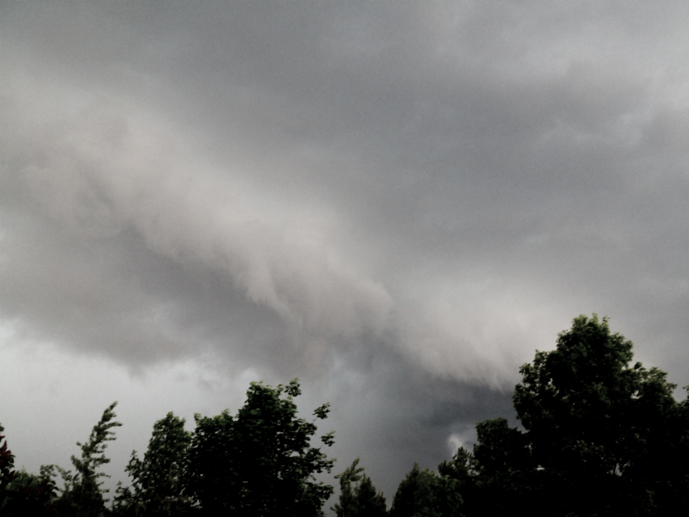 Storm Backyard