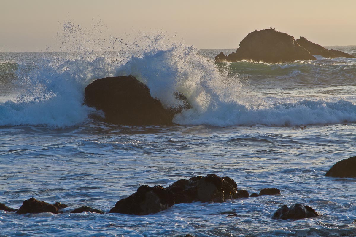 Ocean Spray on Bodega Bay