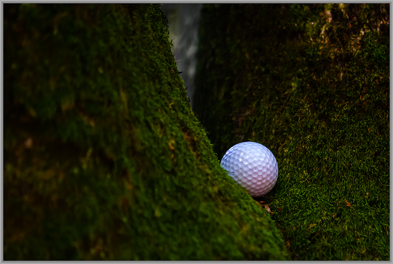 Abandoned Golf Ball