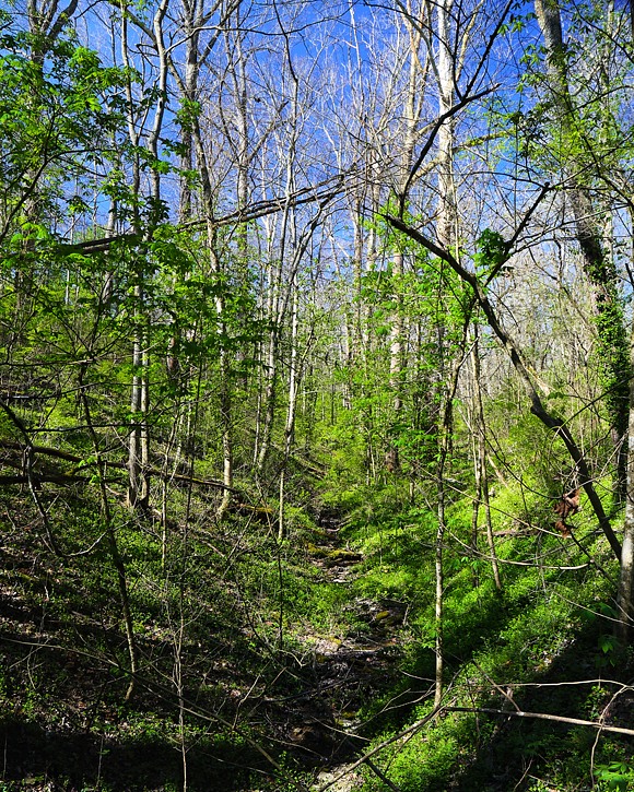 The Defenses of Boonesborough