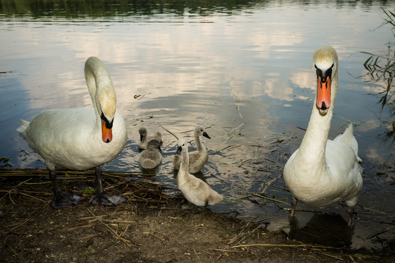 Les mendiant du lac.