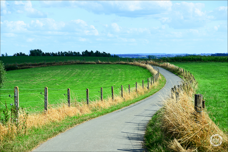 Zomer-Pajottenland