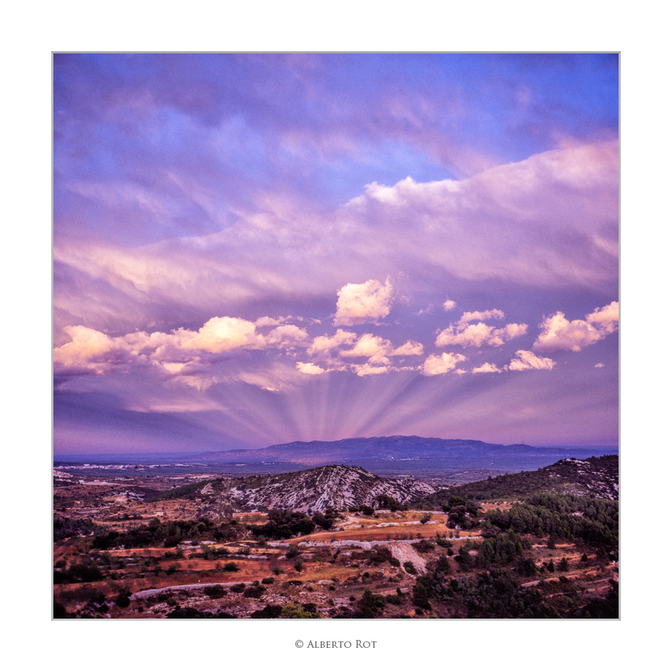 Cau la tarde en vistes del Mas Del Coll