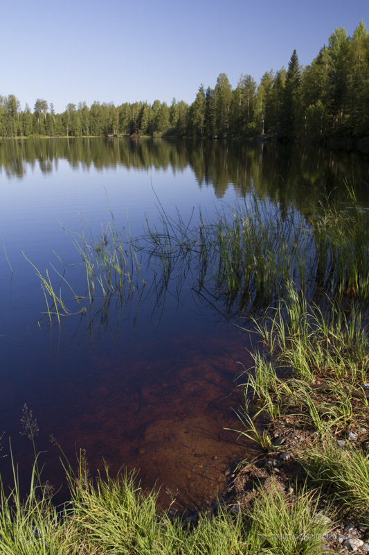 1501 Finland