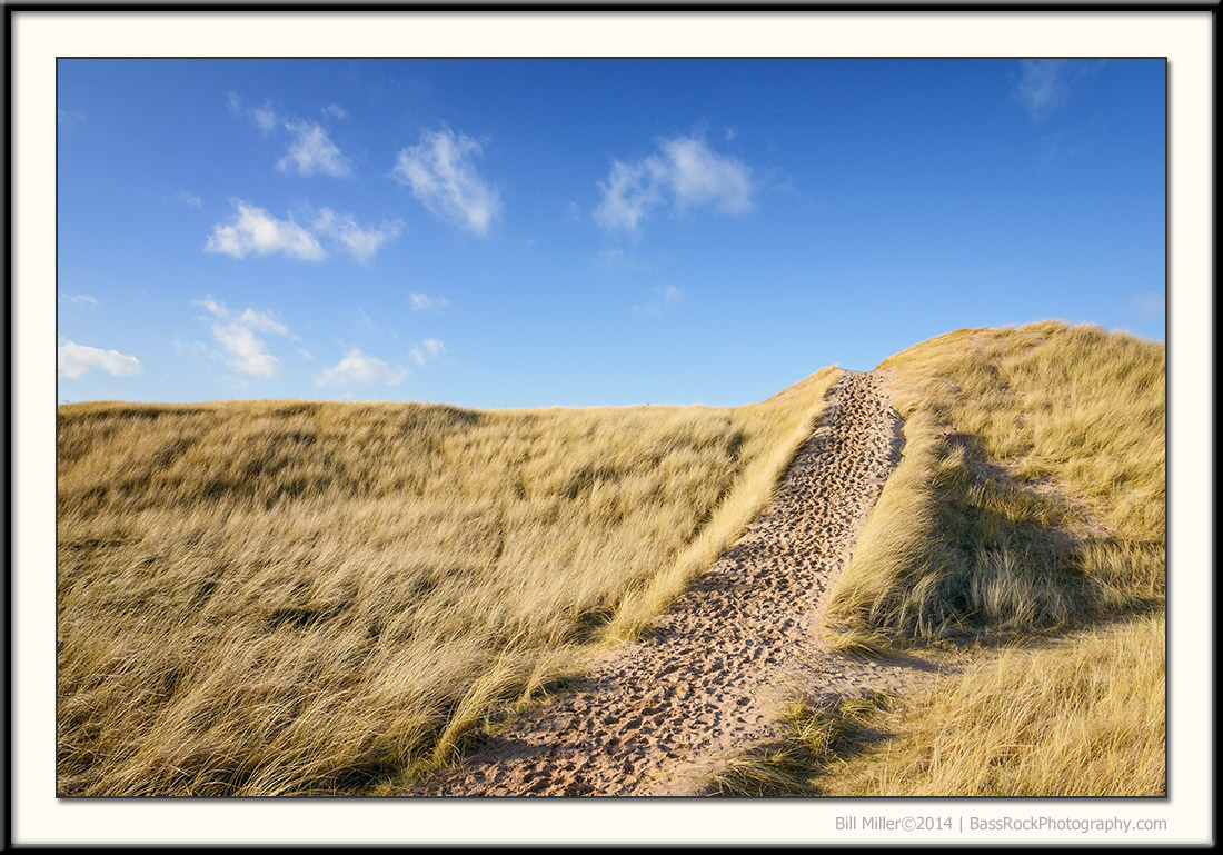 Dune Walk