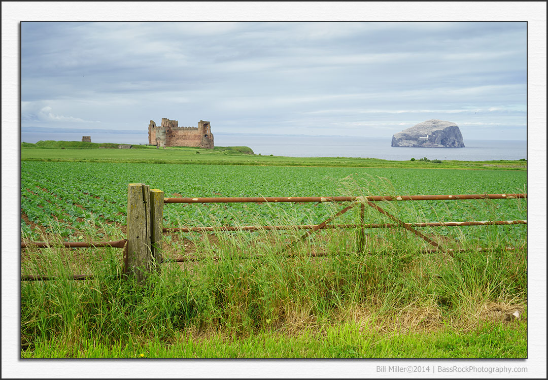 Tantallon Castle and the Bass Rock