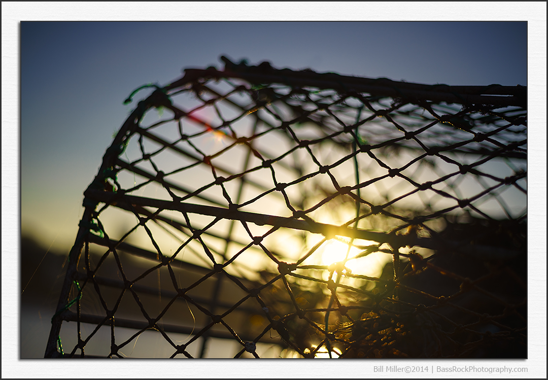 Sun in the Lobster Pot
