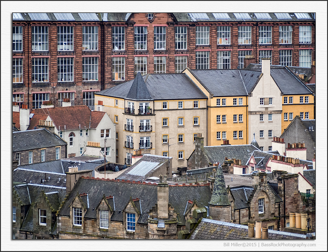 Rooftops and Windows