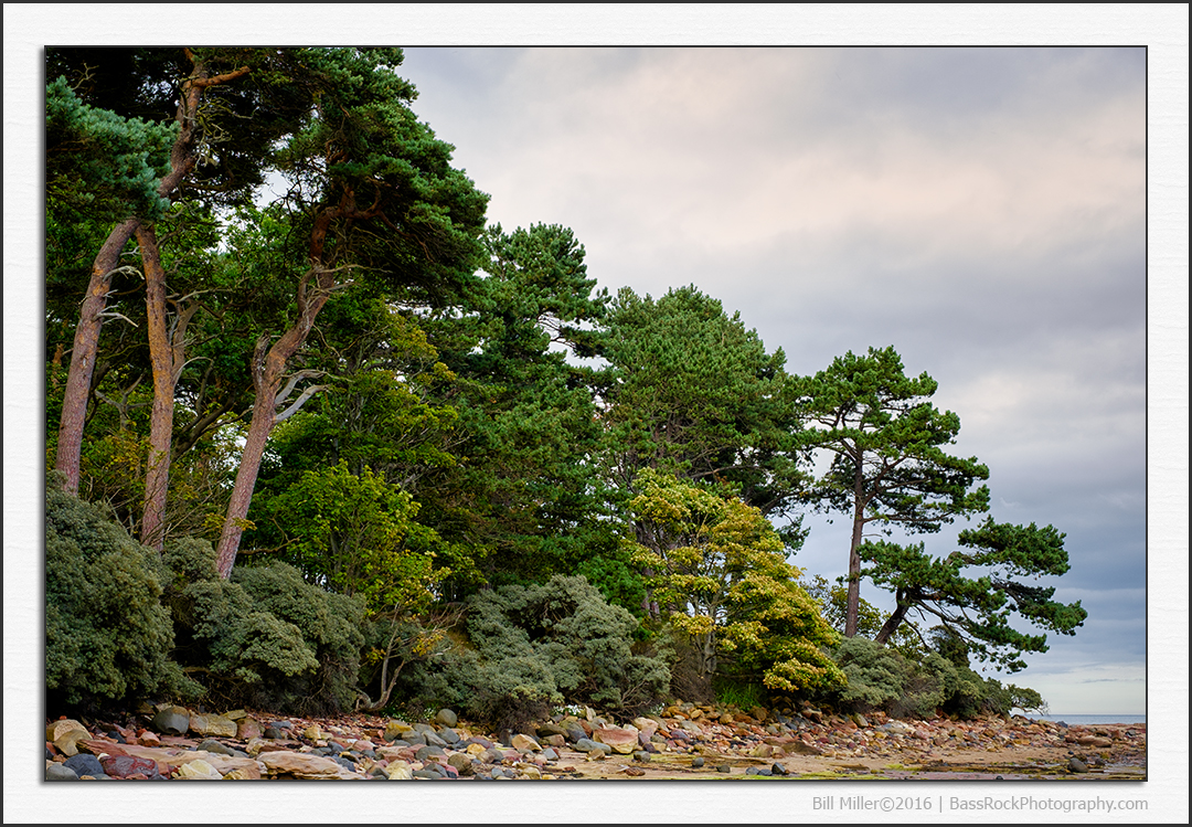 Headland