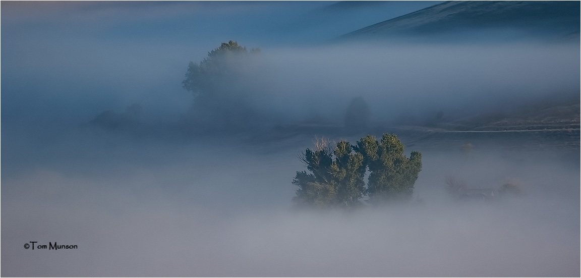 Foggy morning