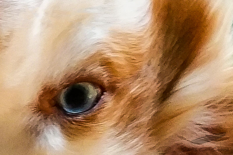 03/12/2015 - Note4_181322.jpg