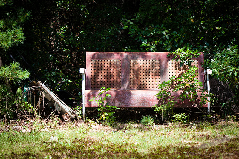 08/16/2015 - _MG_4900.jpg
