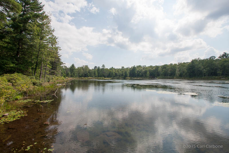 20150819-_MG_4967.jpg