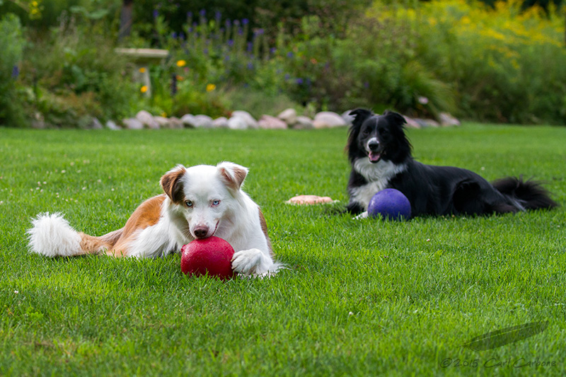 08/26/2015 - _MG_8970.jpg