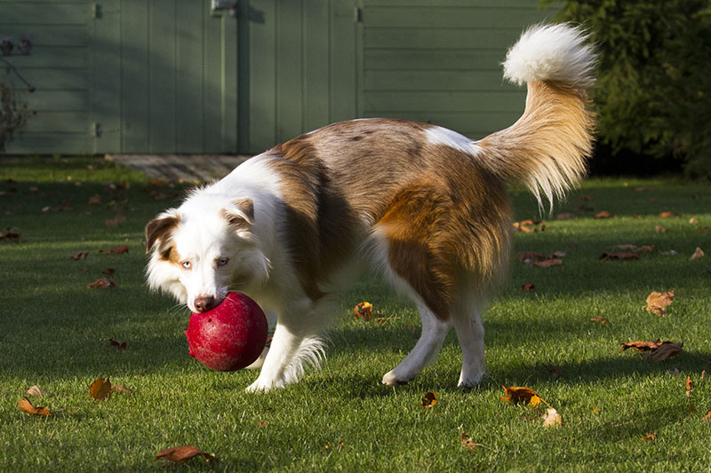 10/27/2015 - _MG_0278.jpg