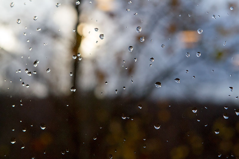 11/13/2015 - _MG_0415.jpg
