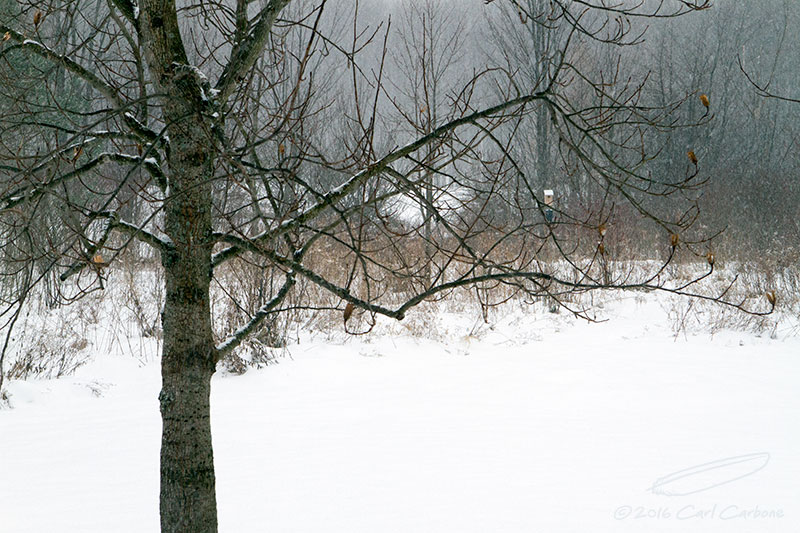 01/17/2016 - _MG_0907.jpg