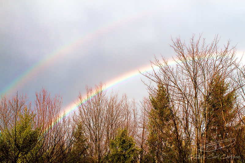 02/24/2016 - _MG_1198.jpg