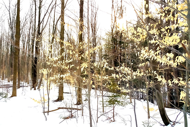 02/27/2016 - Note4_161623.jpg