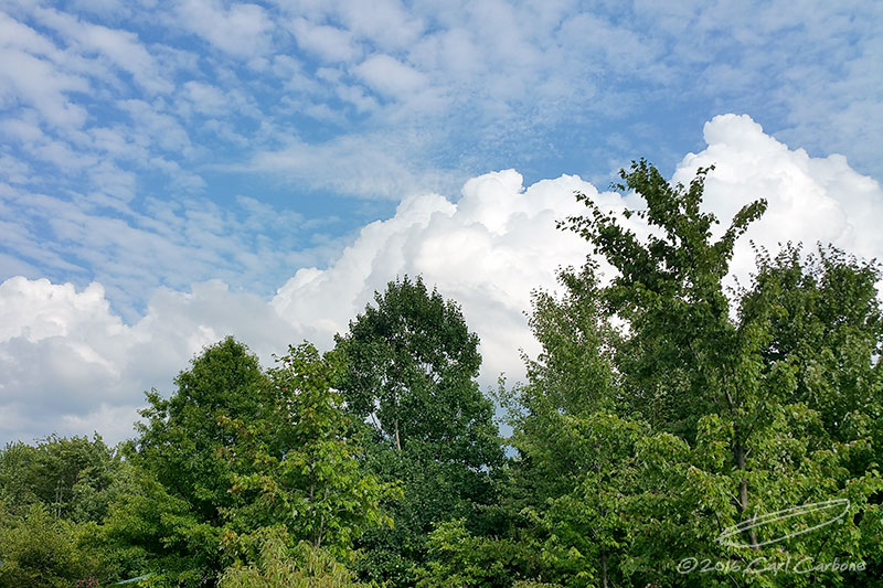 08/05/2016 - Note4_173736.jpg