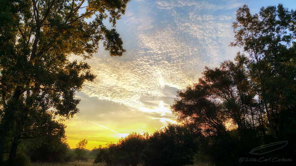 08/30/2016 - Note4_065201.jpg
