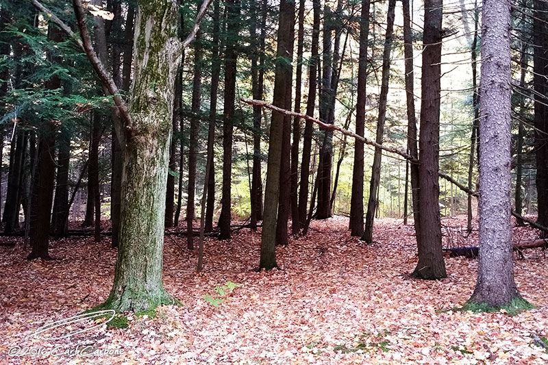 10/30/2016 - Note4_122217.jpg