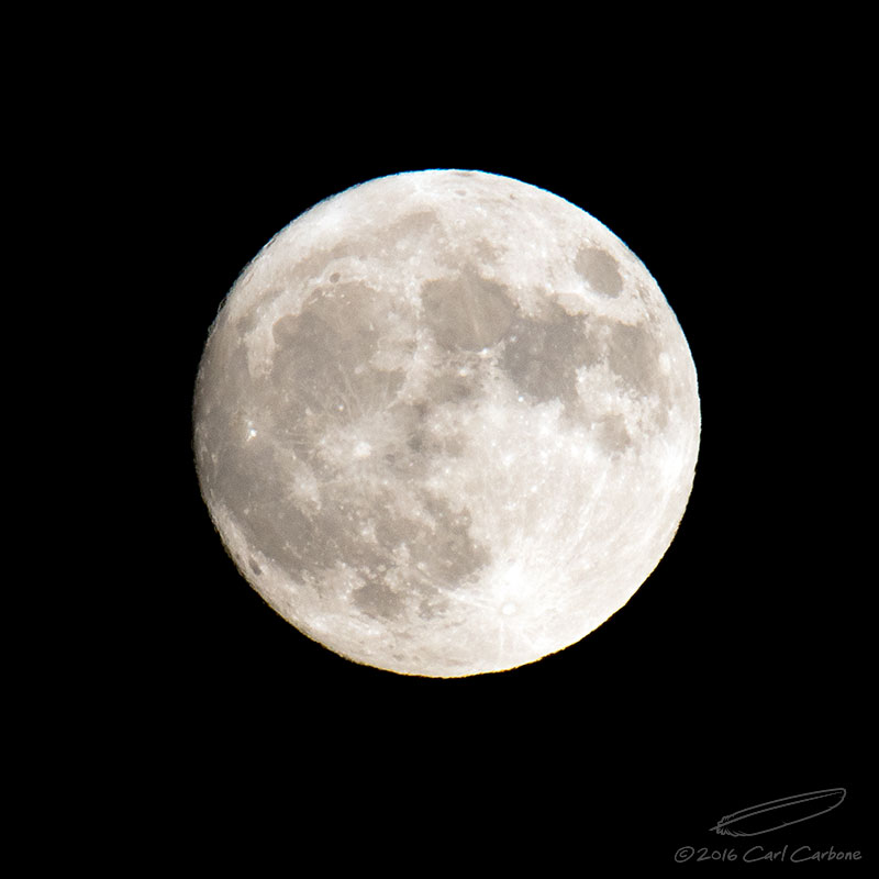 11/13/2016 - _N9A7808.jpg