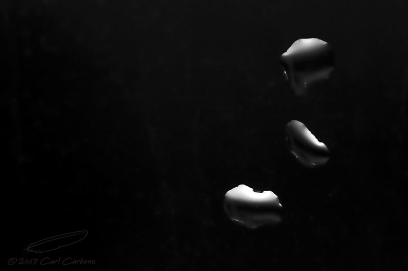 01/10/2017 - _MG_3388.jpg