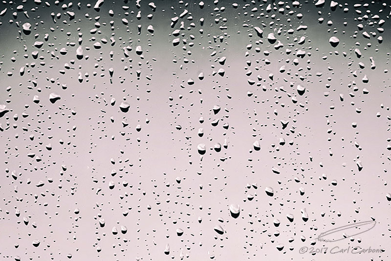 02/07/2017 - _N9A8602.jpg