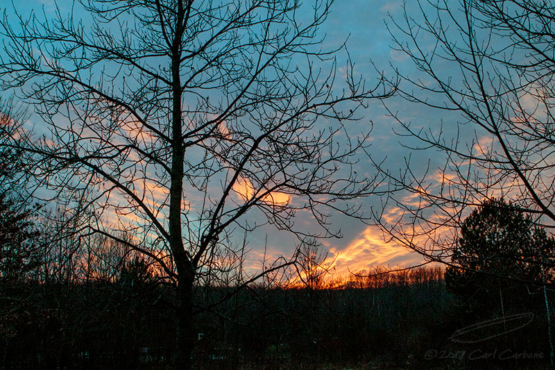 02/14/2017 - _N9A8637.jpg
