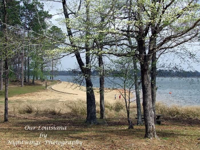 Rapides Parish - Woodworth - Indian Creek recreation area 