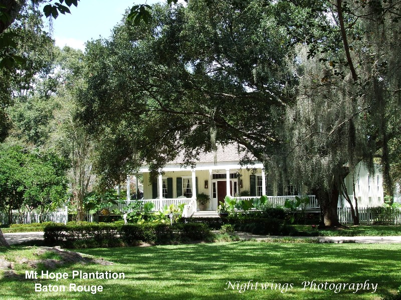 East Baton Rouge Parish - Baton Rouge -  Mt Hope Plantation