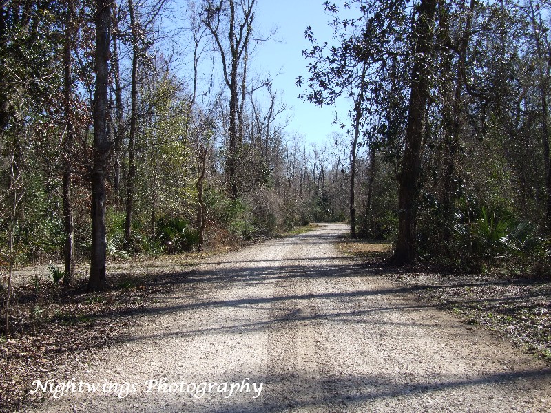 Vermilion Parish - Palmetto Island State Park