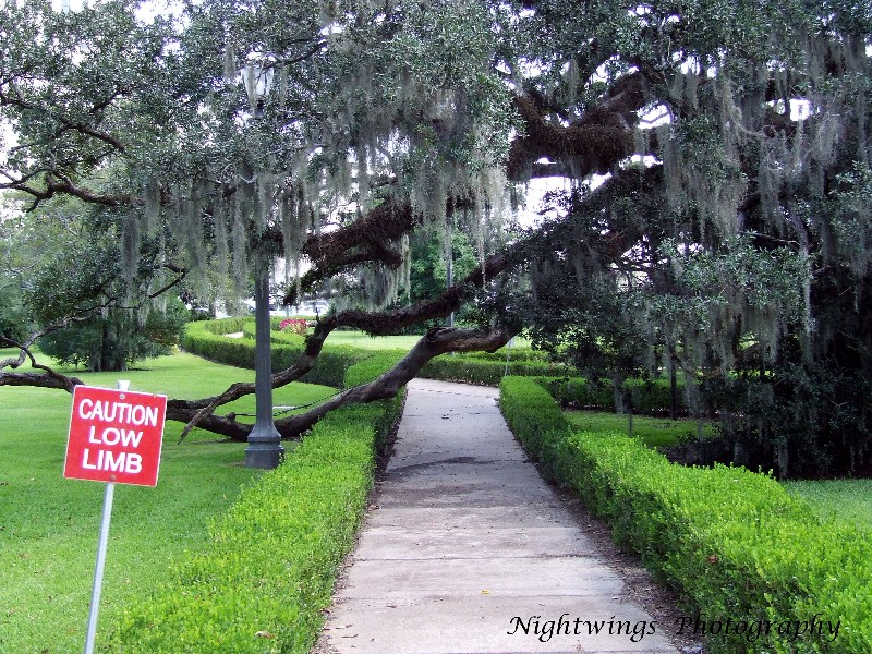 East Baton Rouge Pairsh - Baton Rouge - State Capitol grounds 