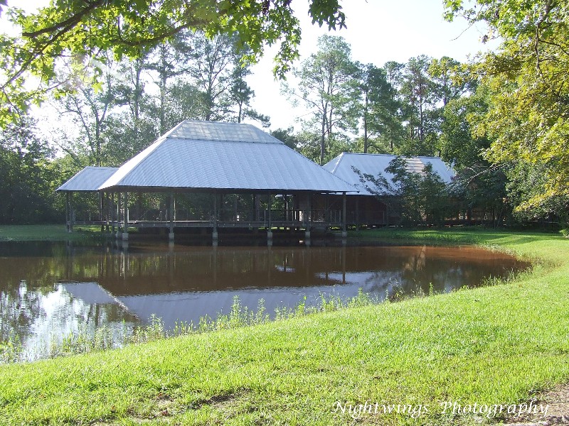 East Baton Rouge Parish - Baton Rouge - Hilltop Arboretum 