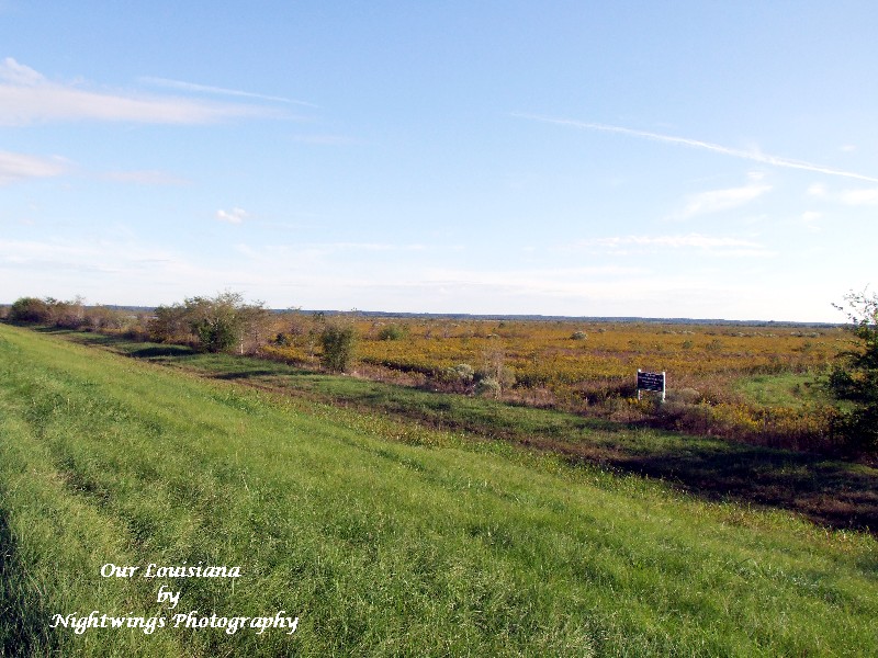 Natchitoches Parish - Ajax - Red River National Wildlife Refuge