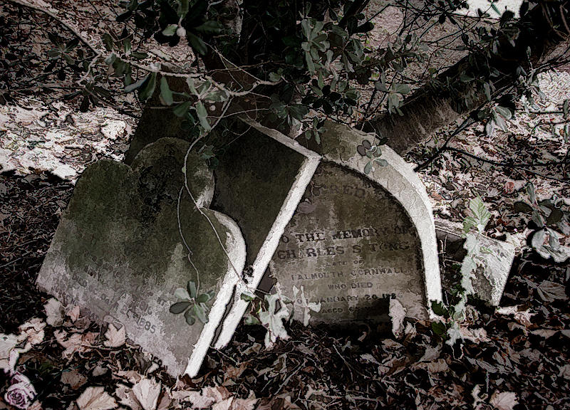 In a Disused Graveyard