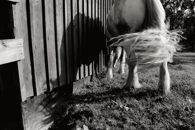 DSC_7888-2bw.jpg