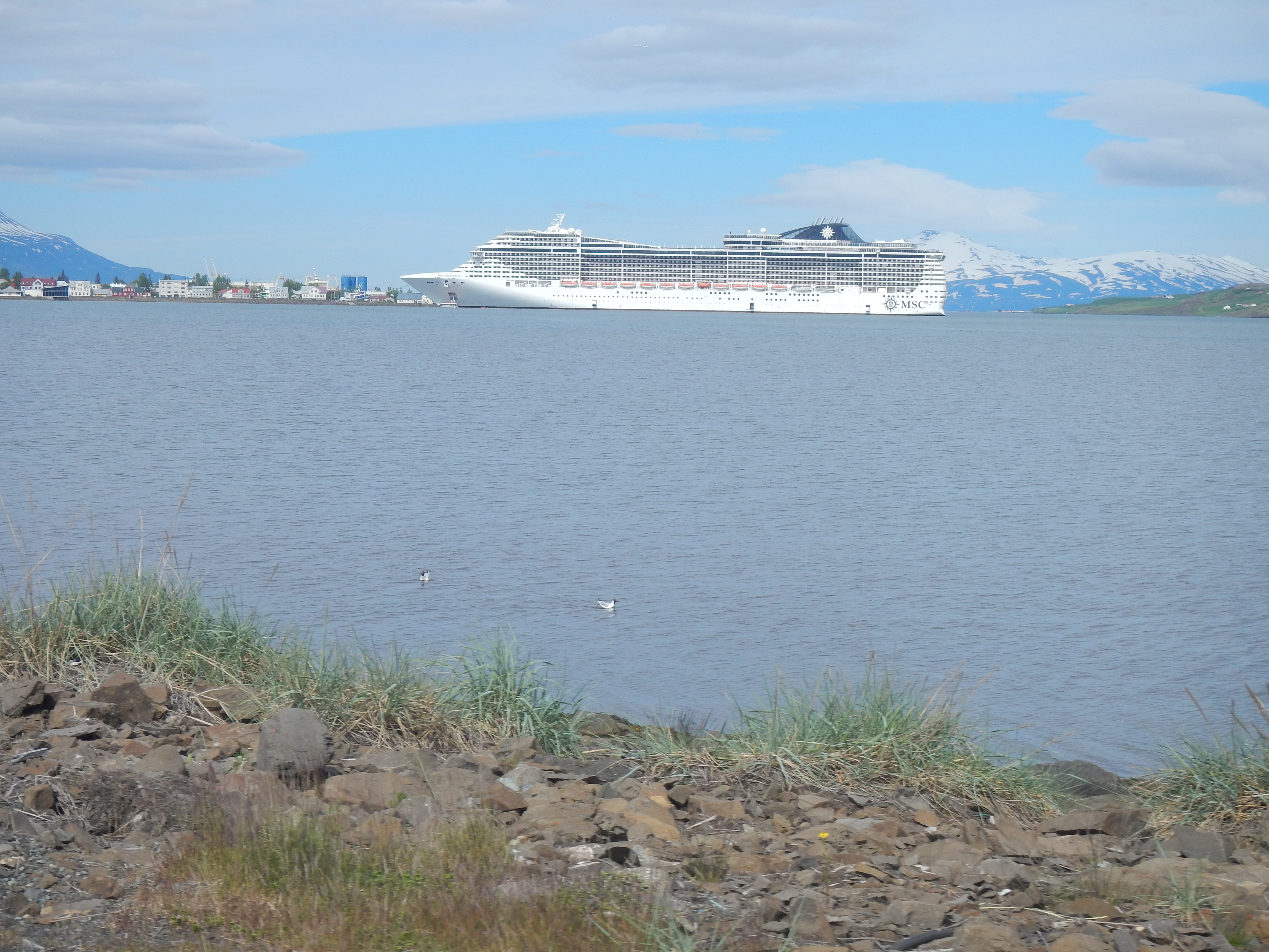DSCN3225.JPG