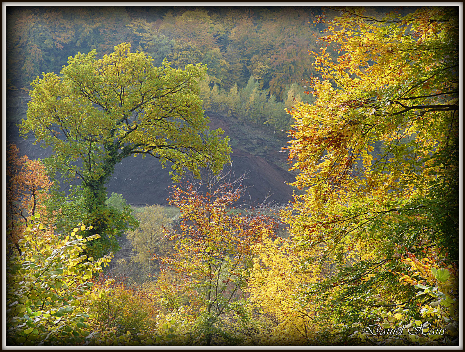 Automne 2015 chez moi 21.JPG