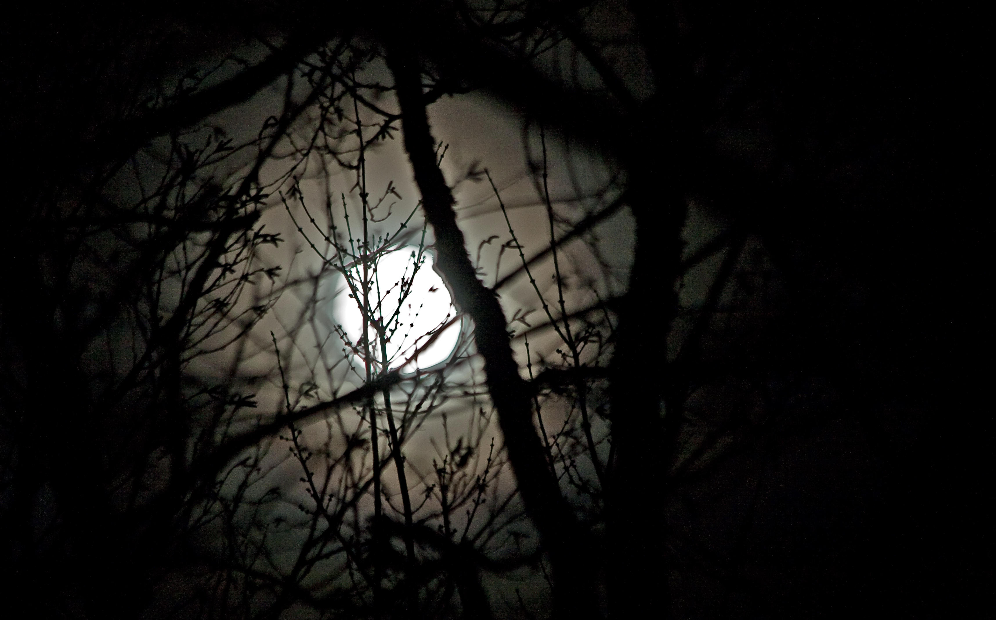 Moon Shot