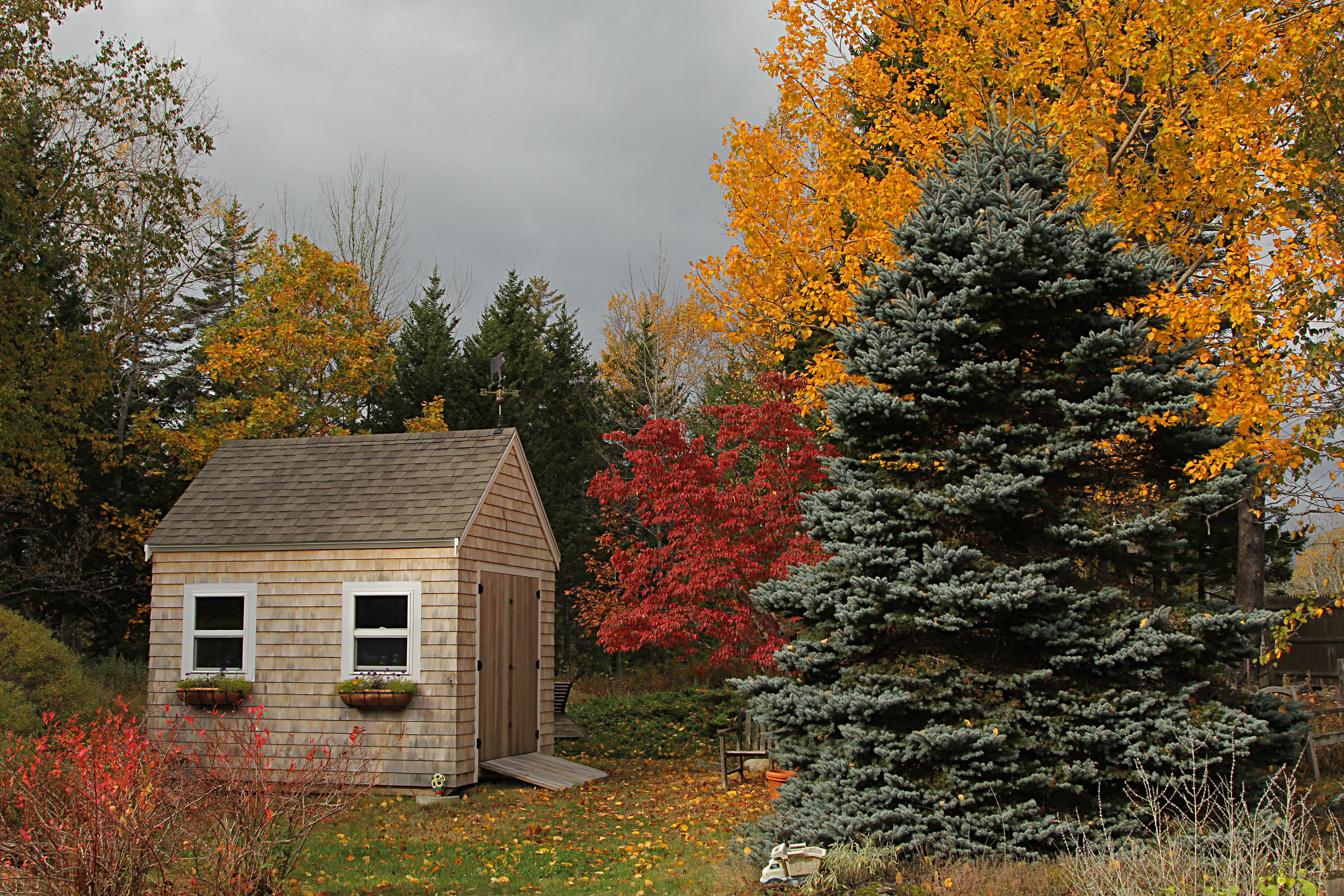 November light in October