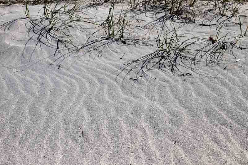 Ripples in the sand