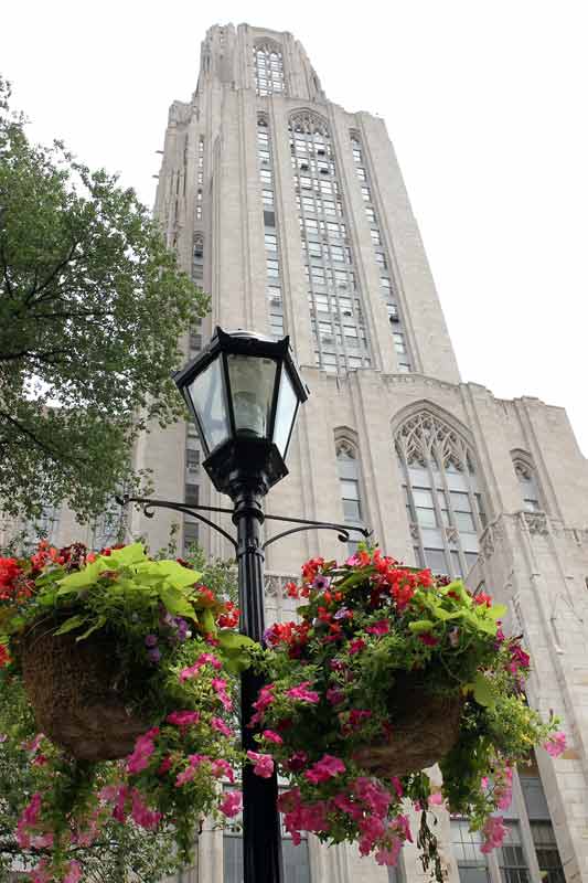 The Cathedral of Learning