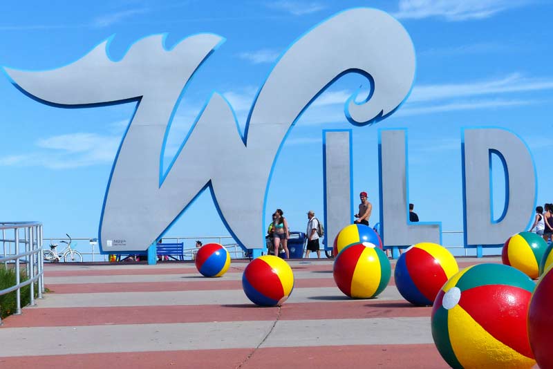 Welcome to the Wildwoods #3