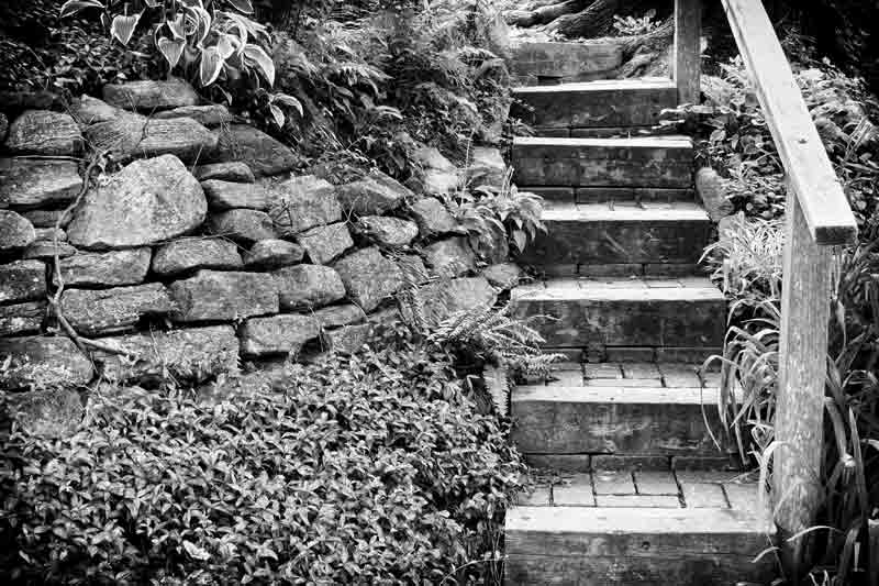The Steps 